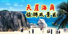 看操逼大片毛茸茸的的视频网站海南三亚-天崖海角旅游风景区